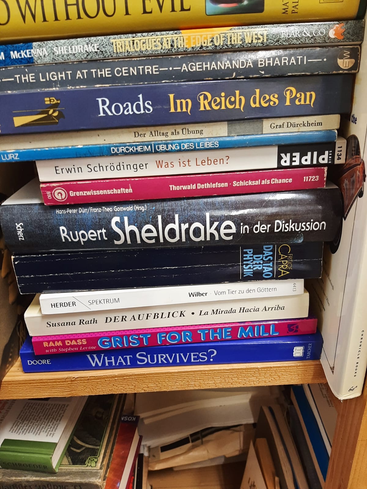 Bücherstapel mit Sheldrake, Capra, Ram Dass, Schrödinger